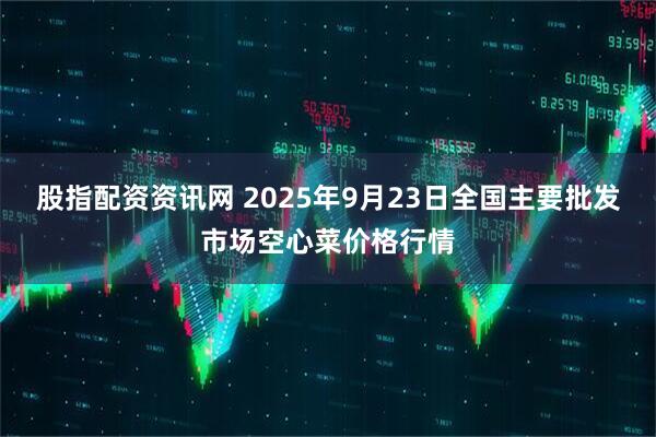 股指配资资讯网 2025年9月23日全国主要批发市场空心菜价格行情