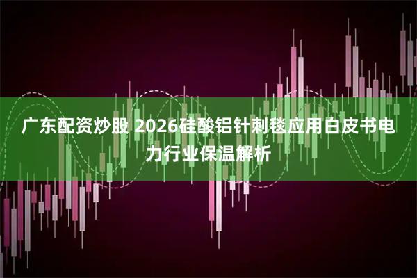 广东配资炒股 2026硅酸铝针刺毯应用白皮书电力行业保温解析